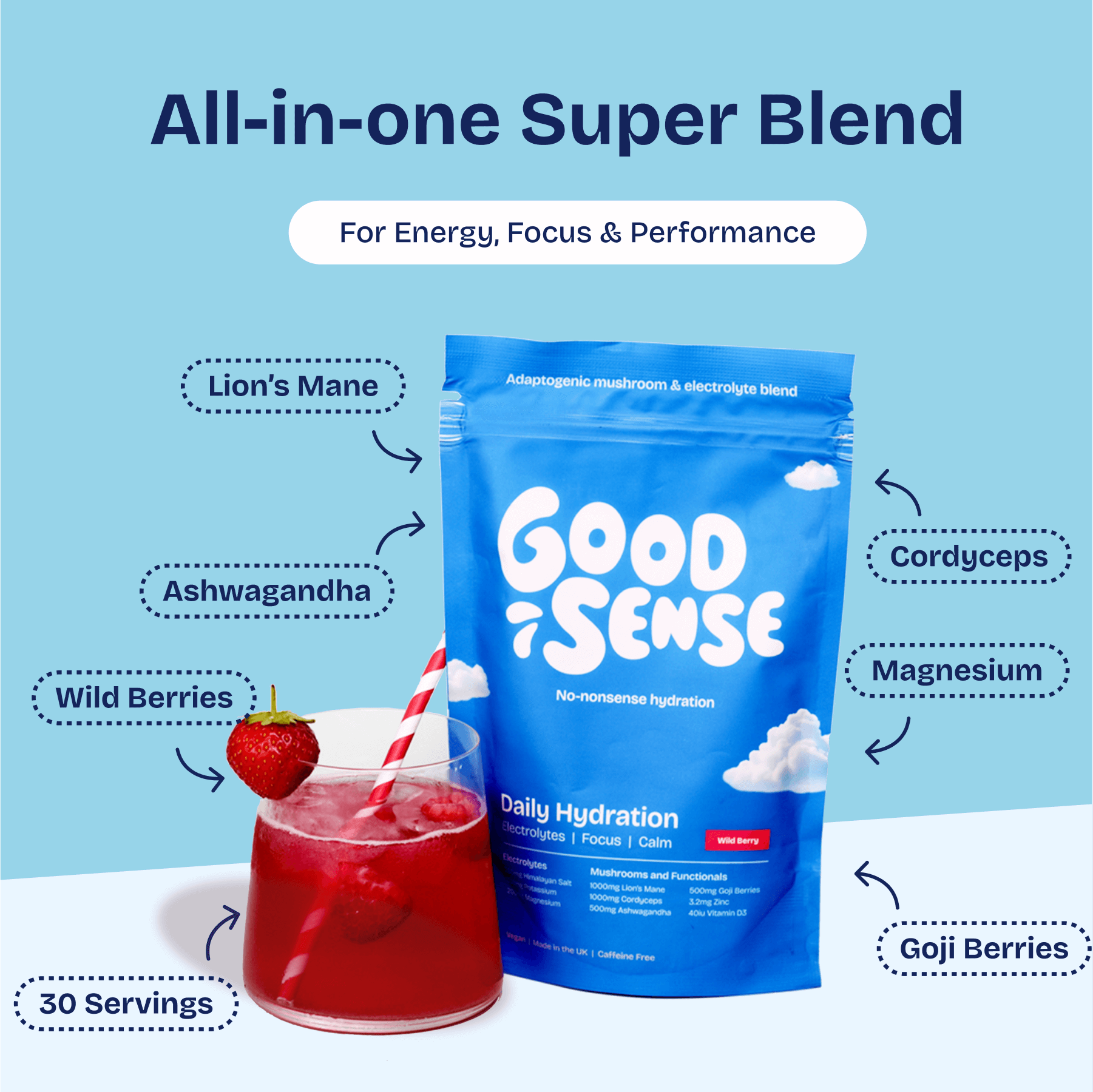 Upgraded Electrolytes - Wild Berry